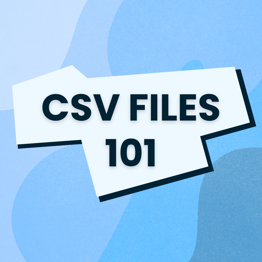 What is a CSV File